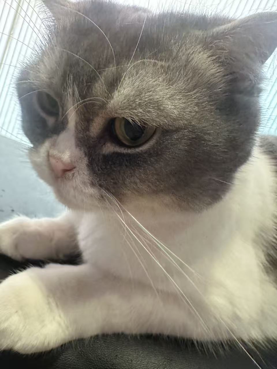 个人照片